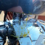 Nasty looking bug goes "splat" on windshield. Didn't see it, but heard it smash