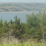 DSCN3275