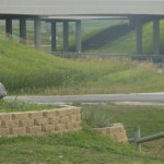 DSCN3290